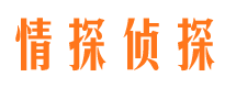 珠晖市侦探公司